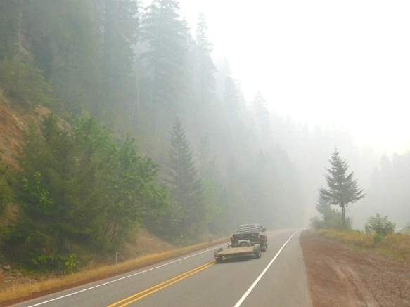 99BD7D3359A62E753031DA