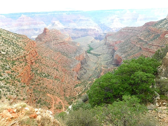 99DDB2385BC9513636D9BF