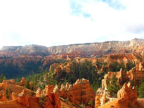 9908FB435BC569C626EB3F