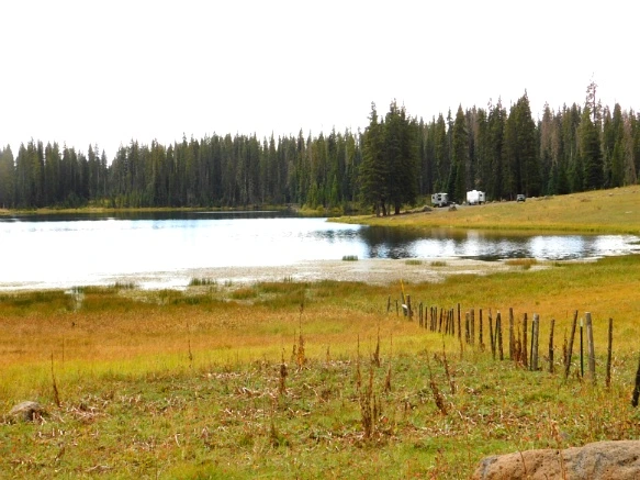 99A8863359BF48C10C3855