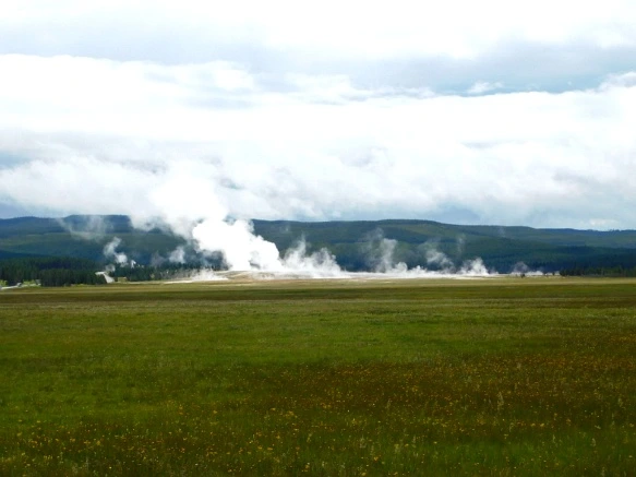 991517495B39A58227AEFA