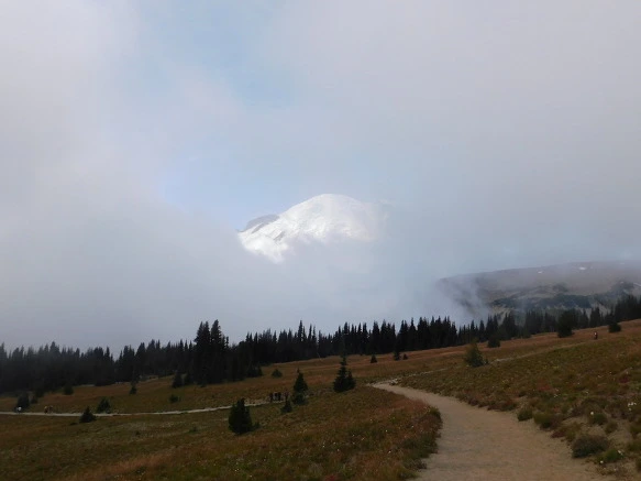 9930013359A4AB043D9F82