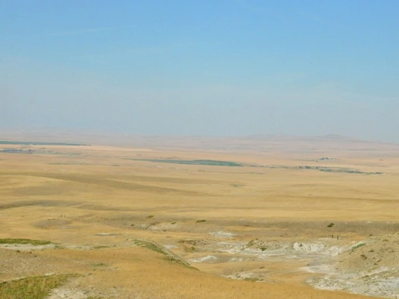 99061E33599F9D6C0CCDD4