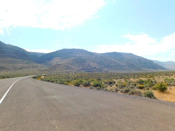 99E4383359A779FD231F01