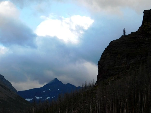 99DDCB4F5BA062C619B91C