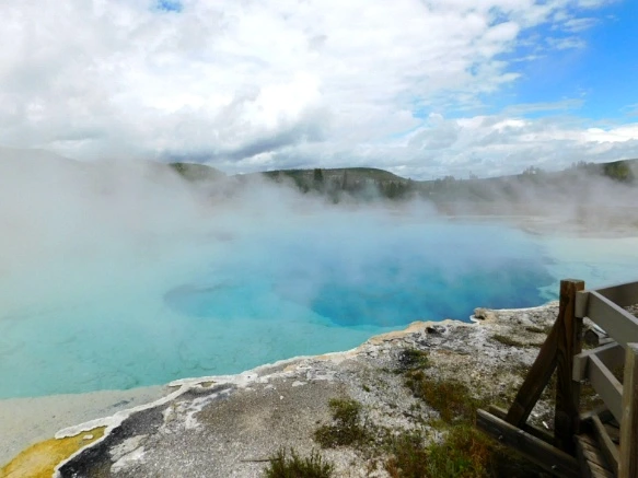 99E1314E5B39A59A0326D9