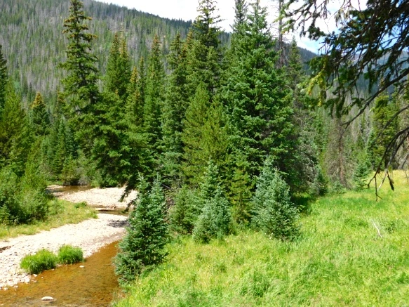 993A4D495B6E69E6255CE2