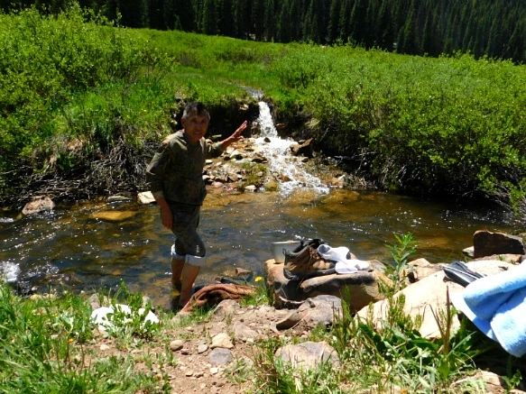 25267E3D595C31D32D3498