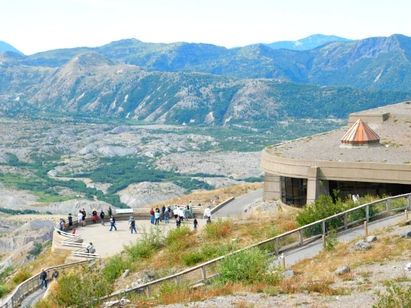 99778F3359A4D3530E5BDF