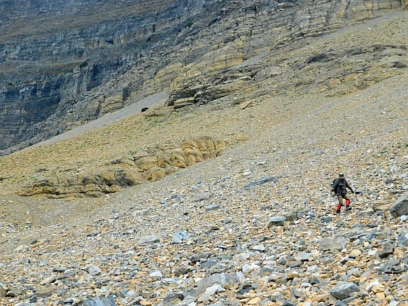 9946BE445BA05E8204FB99