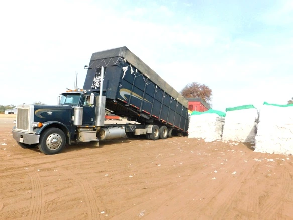 99CDDF335A07C8452D51B7