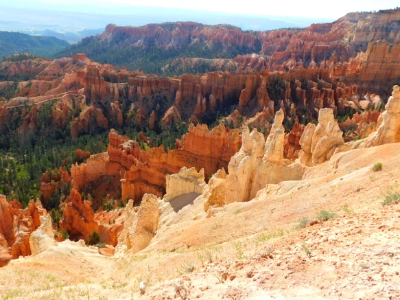 253F64375769D76510F0F1