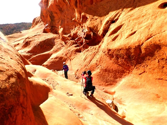 992A0A335A18DB422F550F