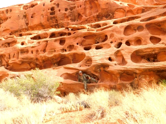 99572E3359B5EB112FF2C8