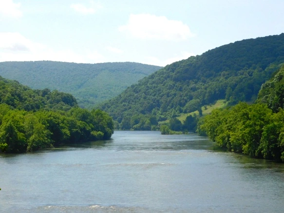 27419B3D595030402288B2