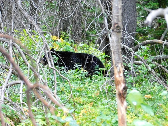 999736435B8DC255062CF8