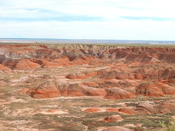 99A37D3D5BE6778B30F888