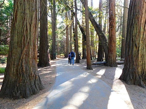 99829F3C5BD6723533A75E