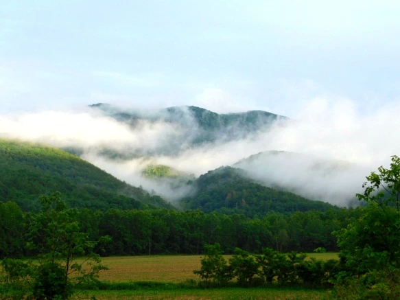 246CCD38594C8FD80A9D4A