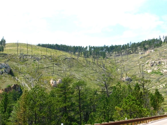 996052335993AFE725E670