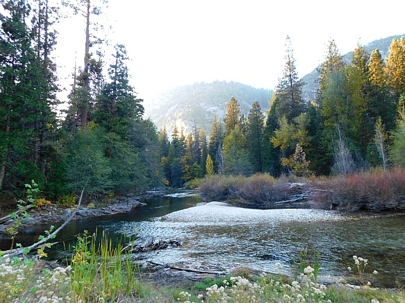 99B0B4505BDBDA84187478