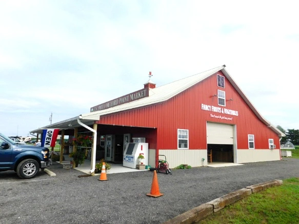 99348C405B5FC3B71B8D53