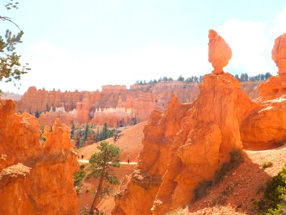 998C203359B9B903132B99