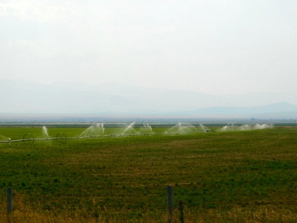 992C2733599E4F5C0BF32C