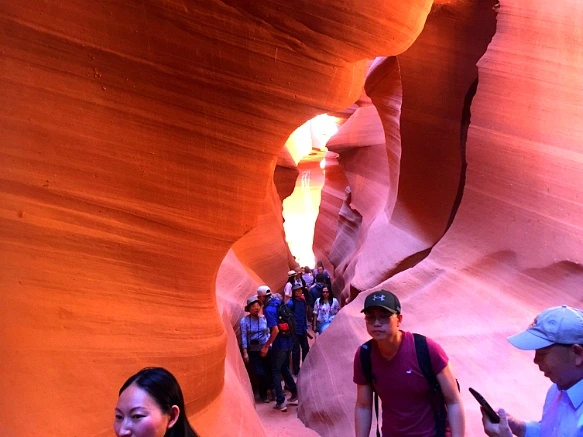 2366EB43576A00893A8784