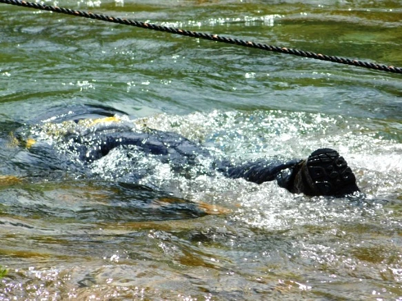 99DFD53A5B2F251B1C4340