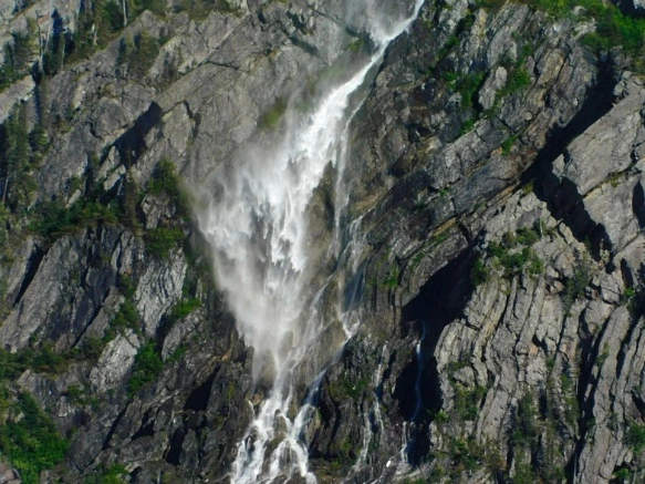 993D8C4D5B381A843EC040