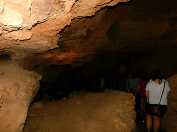 99DBF7505B4405972E1099