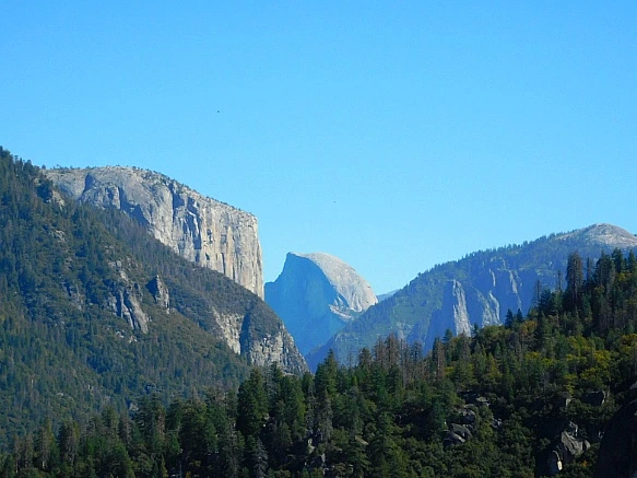 998C843C5BD6722432A4FF