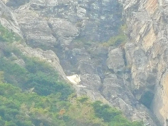 99F90C4B5B88AD240358D5