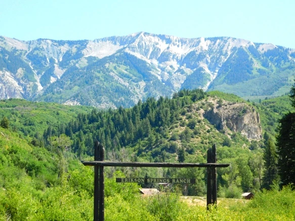 2521B541595C316D141E59