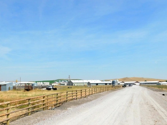 99B73033599F9D5C16B55D