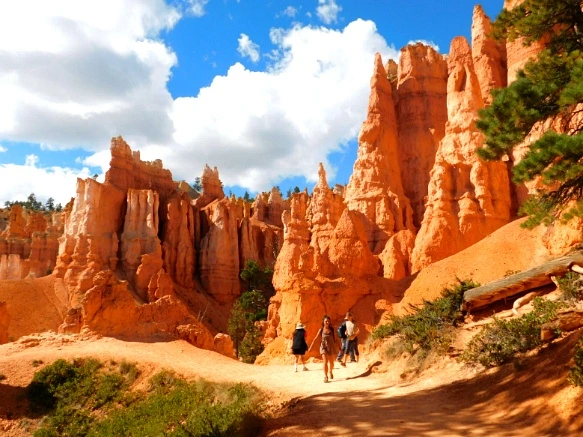 9940443359B9B9071A7EA8