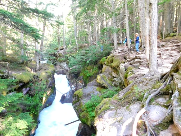 9942D1475B38134732A537