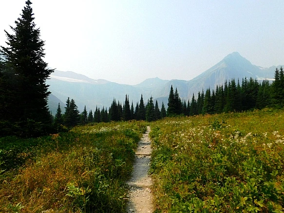 9953664C5B875199040226