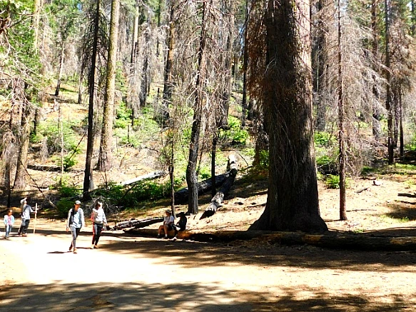 21459B3C57736C3F1B67EC