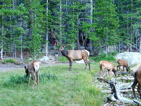 9929444A5B7268FE09EE6B