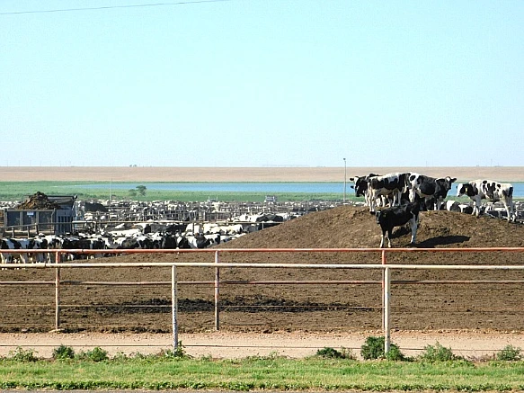 221F28355782FDC928C8EE