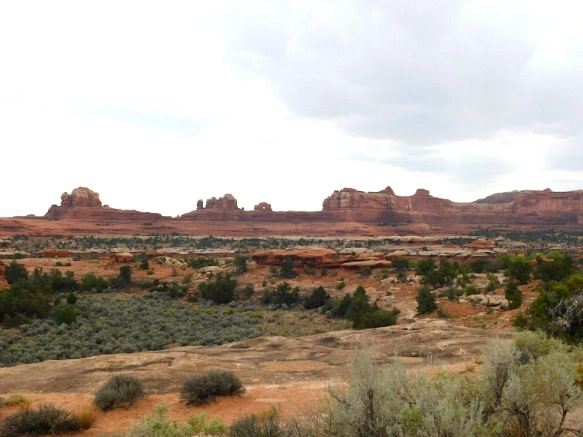 994FD43359B482A2128954