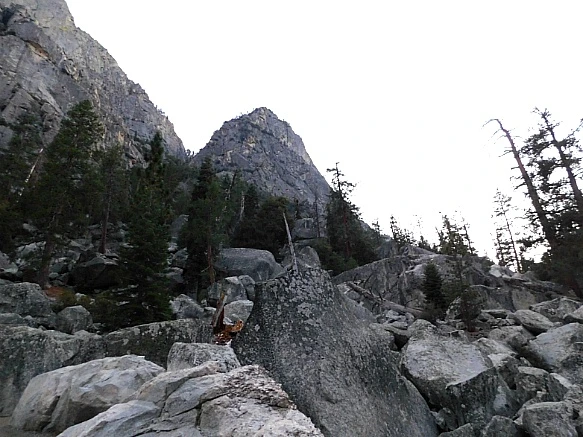 99CDF64D5BDBDB2915519F