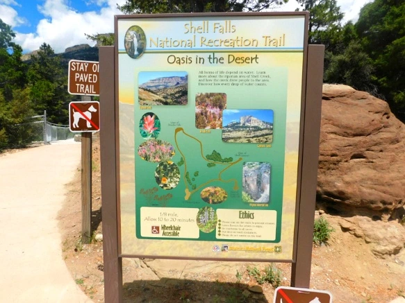 991560505B40275331A0C8