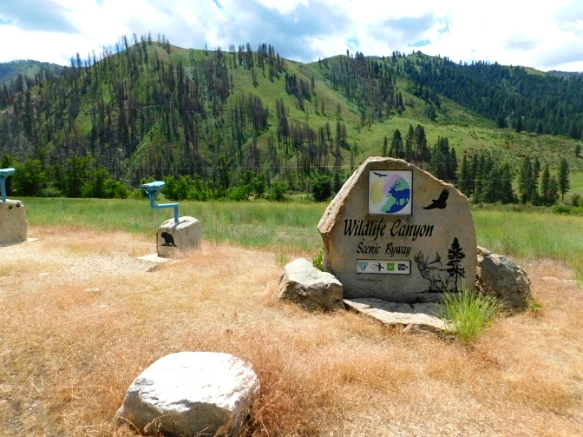 99413A365B2F24DD275F07