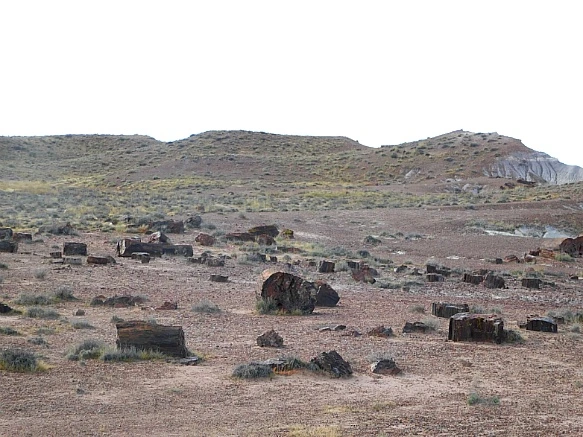 99F891345BE6792A3544EA