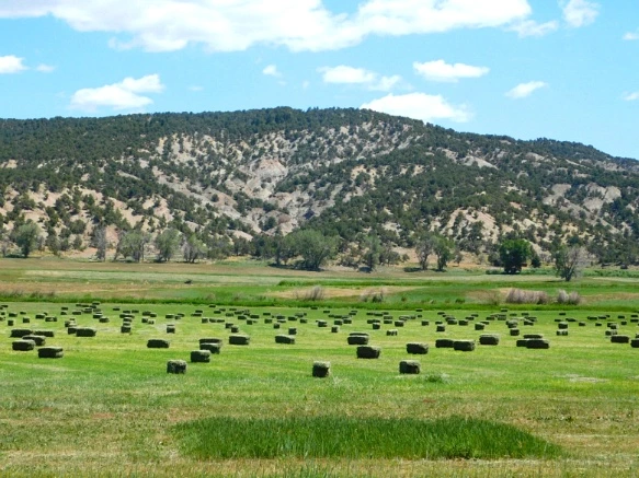 2418834E595C2C8A1198E5