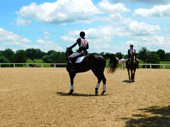 22495233597D172226F0DD