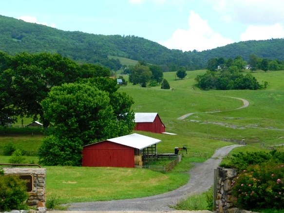 253C464A595020BE3285C4